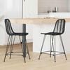 vidaXL Silla de Bar 2 pcs Negro 44,5 x 54,5 x 97,5 cm Ratan e Hierro