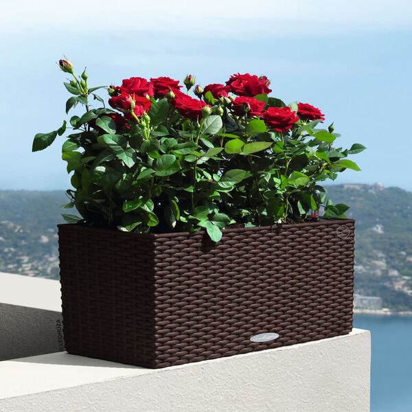 LECHUZA Jardinera BALCONERA Cottage 50 ALL-IN-ONE moca