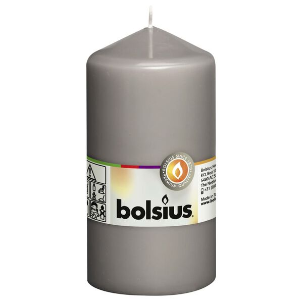 Bolsius Velas r&uacute;sticas 8 unidades gris c&aacute;lido 130x68 mm