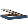 vidaXL Cama con almacenamiento y LED con LED Azul 200 x 200 cm tela