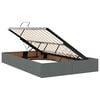 vidaXL Cama con almacenamiento y LED Gris oscuro 120 x 190 cm tela