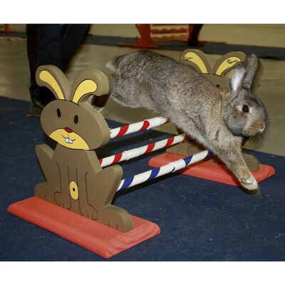 Kerbl Obstáculo/juguete de agilidad para roedores 62x33x34 cm