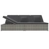 vidaXL Tumbona doble convertible y cojines rat&aacute;n sint&eacute;tico gris oscuro