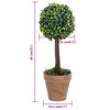 Imagen en miniatura del producto 6 de 6