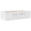 vidaXL Sof&aacute; cama con cajones sin colch&oacute;n blanco 100x200 cm