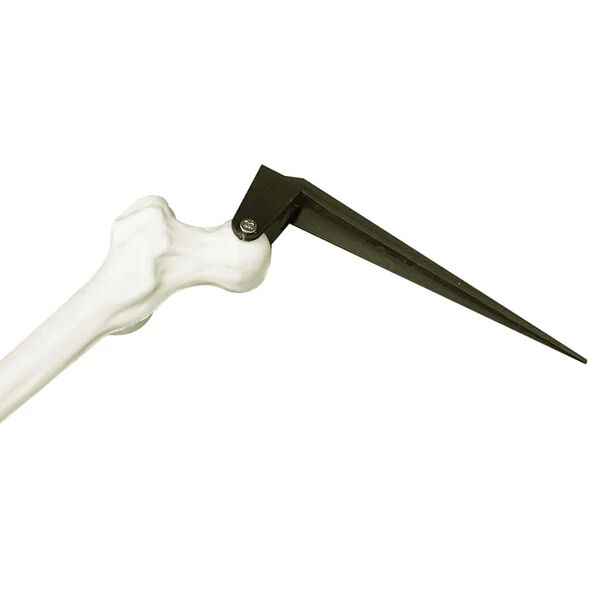 vidaXL Esqueleto de Halloween 45,5 x 13 cm Pl&aacute;stico