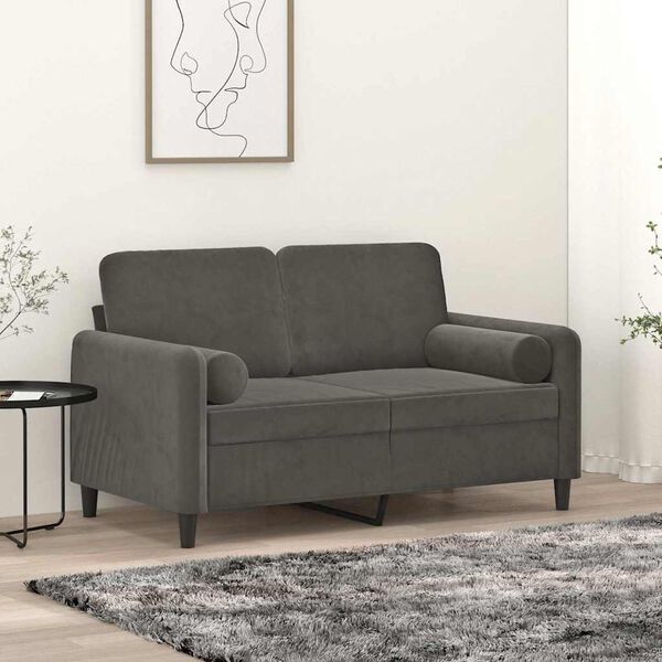 vidaXL Sof&aacute; 2 plazas almohadas y cojines terciopelo gris oscuro 120 cm