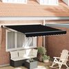 vidaXL Toldo Manual Negro 300 x 250 x 165 cm Poli&eacute;ster