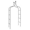 vidaXL Arcos de jardín 2 uds acero negro 120x38x260 cm