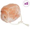 vidaXL Piedras de Sal para Lamer 8 uds. Rosa Sal de Roca