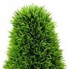 Imagen en miniatura del producto 3 de 5