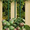 Imagen en miniatura del producto 2 de 5