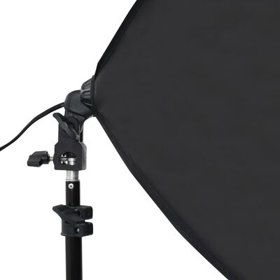 vidaXL Kit de estudio fotográfico con luces softbox y fondo