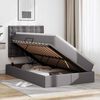 vidaXL Cama con almacenamiento y LED Gris 120 x 200 cm Cuero sint&eacute;tico