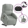 vidaXL Sill&oacute;n reclinable de masaje elevable terciopelo gris claro