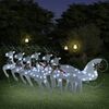 Imagen en miniatura del producto 2 de 14