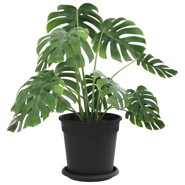 vidaXL Macetas 24 pcs Negro &Oslash; 17 x 14 cm Pl&aacute;stico