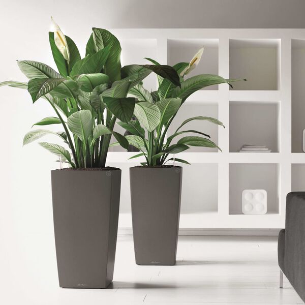 LECHUZA Macetero Cubico 40 ALL-IN-ONE color carbón