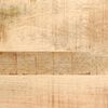 vidaXL Mesilla de noche 2 uds 40x32x46 cm madera mango rugosa