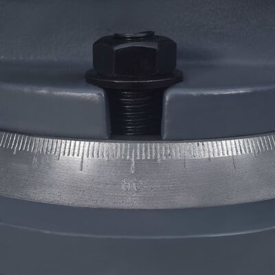 vidaXL Tornillo de banco giratorio hierro fundido 125 mm