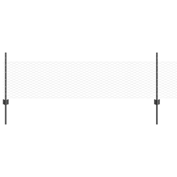 Mostrando imagen del producto 1 de 11