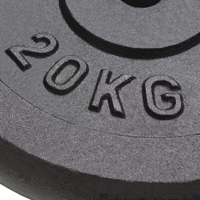vidaXL Discos de pesas de hierro fundido 2 uds 2x20 kg