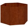 vidaXL Jardinera de acero corten oxidado 60x60x45 cm