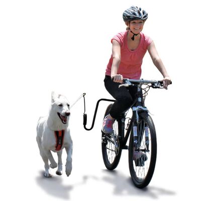 SPRINGER Kit de ejercicio de bicicleta para perros