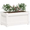 vidaXL Jardineras de exterior 2 unidades madera maciza de pino blanco