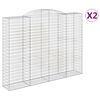 vidaXL Cestas de gaviones 2 uds forma de arco hierro 300x50x220/240 cm