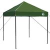 vidaXL Carpa Dosel Manual Verde 194 x 194 x 251 cm tela