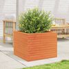 vidaXL Jardinera de madera maciza de pino marr&oacute;n cera 60x60x46 cm