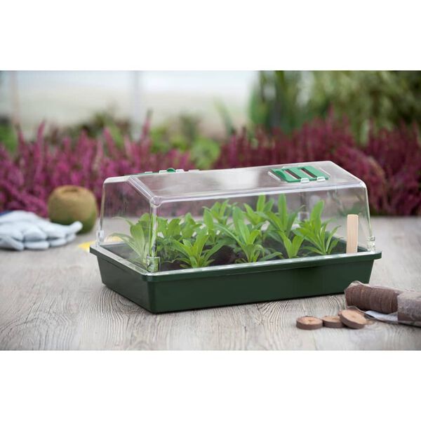 Mostrando imagen del producto 2 de 3