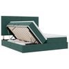 vidaXL Cama con tira de luces LED Verde oscuro 180 x 200 cm Terciopelo