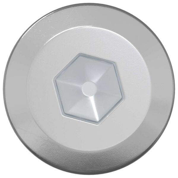 vidaXL Tornillos de Madera 2 pcs Plateado M6 x 70 mm Acero