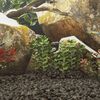 Imagen en miniatura del producto 2 de 5