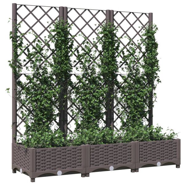 vidaXL Jardinera de jardín con enrejado marrón 120x40x121,5 cm PP