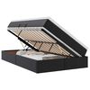 vidaXL Cama con almacenamiento y colch&oacute;n Negro 120 x 200 cm