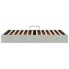 vidaXL Cama con almacenamiento Gris Claro 120 x 200 cm Terciopelo