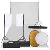 vidaXL Kit de estudio fotogr&aacute;fico con set de luces, fondo y reflector