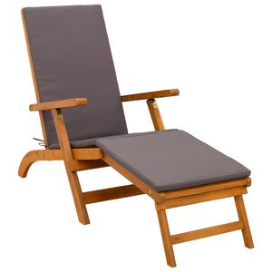 vidaXL Recliner y tumbona plegable 55 x 146 x 91 cm