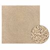 vidaXL Alfombra ZIZUR apariencia de yute interior exterior 200x200 cm