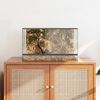vidaXL Terrario Transparente 50 x 30 x 30 cm Cristal