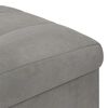 vidaXL Otomano de almacenamiento Gris Claro 40 x 40 x 45 cm Terciopelo