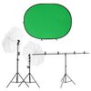 vidaXL Kit de estudio fotogr&aacute;fico con iluminaci&oacute;n y fondo