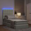 vidaXL Cama con almacenamiento y LED con LED Gris Claro 100 x 200 cm