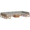 vidaXL Conjunto de sof&aacute;s de exterior 11 pcs Gris Natural y Claro