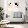 vidaXL Coj&iacute;n de Espalda Gris Claro 80 x 24 x 50 cm Terciopelo
