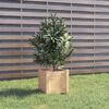 vidaXL Jardineras 2 uds madera maciza de pino 31x31x31 cm