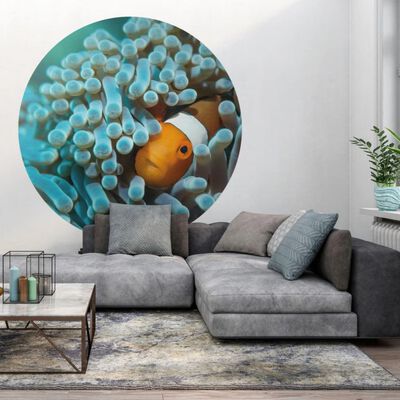 WallArt Papel pintado de pared redondo Nemo the Anemonefish 142,5 cm